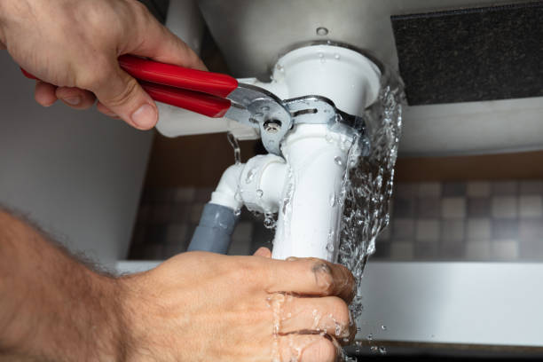 Best Flood damage cleanup  in Pine Bluffs, WY