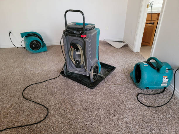 Best Fire Damage Restoration  in Pine Bluffs, WY
