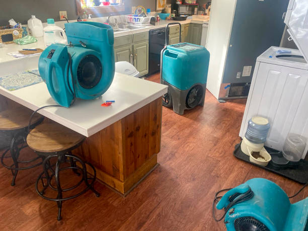 Best Water damage restoration near me  in Pine Bluffs, WY