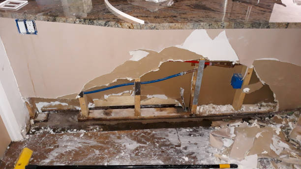 Best Mold removal after water damage  in Pine Bluffs, WY