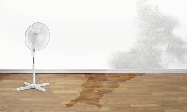 Best Ceiling water damage repair  in Pine Bluffs, WY