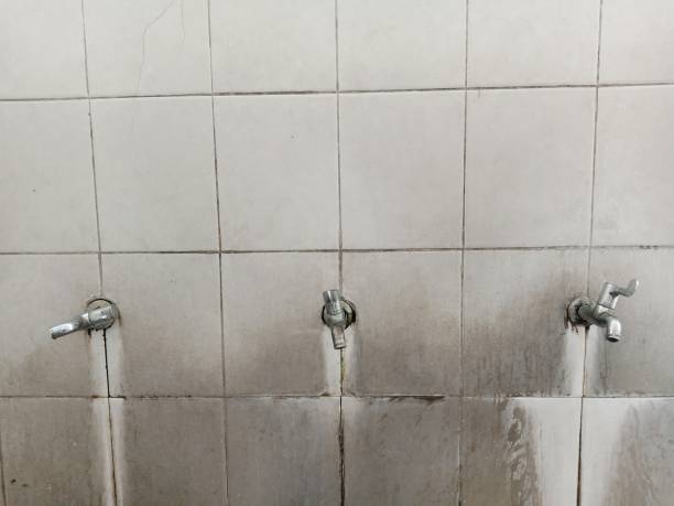 Best Flood damage cleanup  in Pine Bluffs, WY