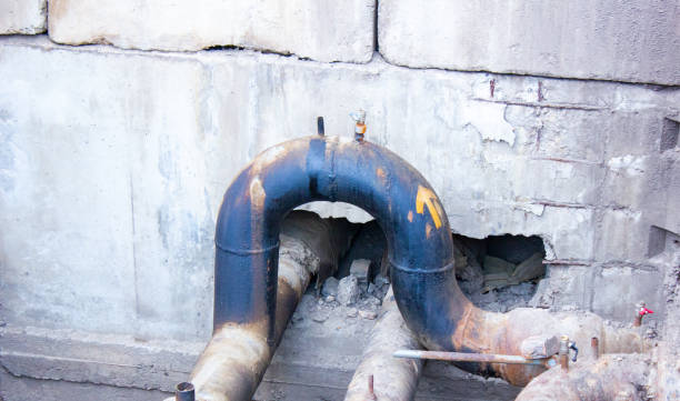 Best Water damage restoration process  in Pine Bluffs, WY