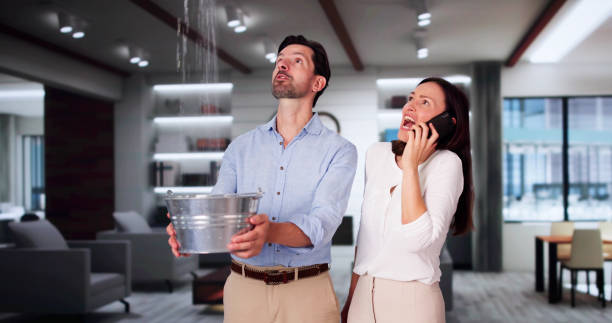 Professional Water damage restoration in Pine Bluffs, WY
